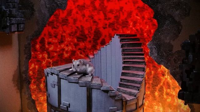 Маленький хомячок невероятно храбр и перехитряет вора Губку Боба! смотреть онлайн