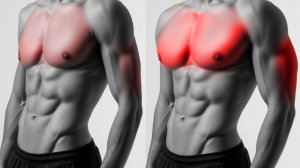 Эта тренировка Гигантский скачок к росту мышц: 8 упражнений для верха тела