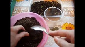 2154.  ВНИМАНИЕ! ЭКСПЕРИМЕНТ,2 часть