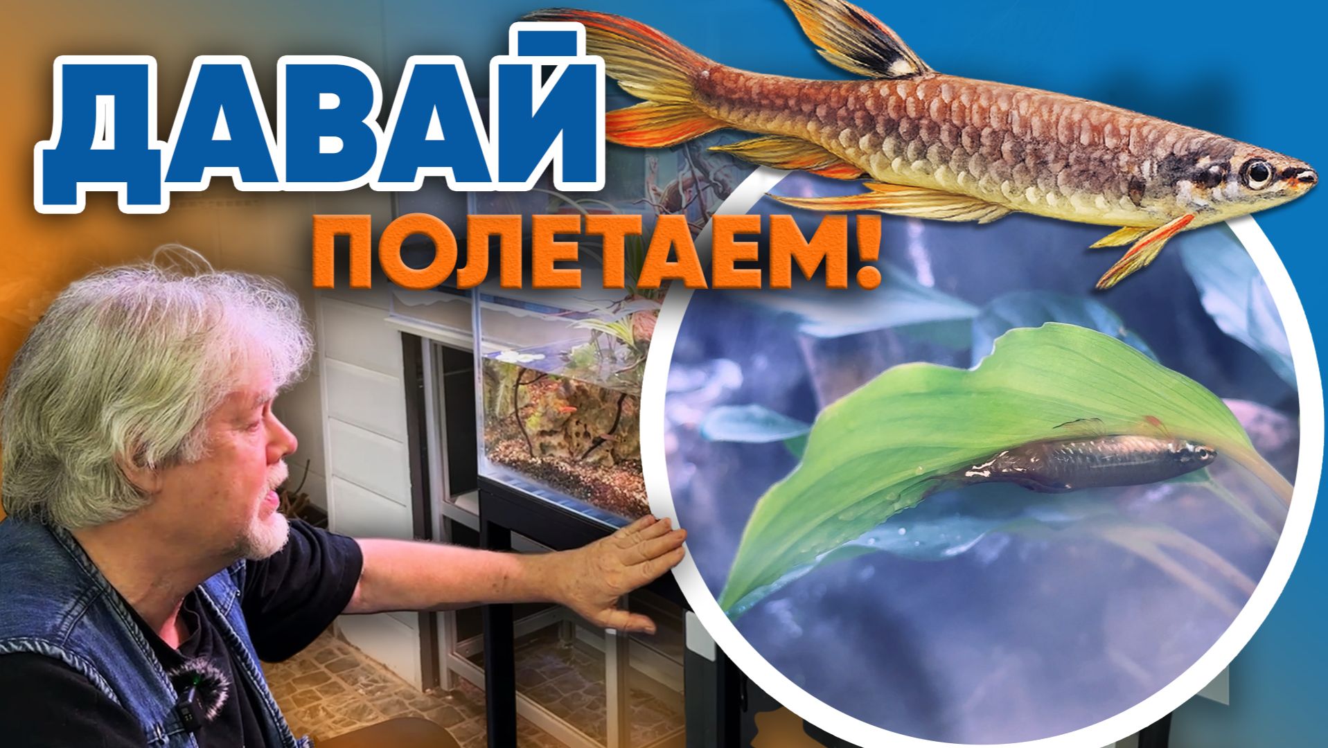 Аквариумные истории из ЭКЗОМЕНЮ (23.01.2026). Давай полетаем! смотреть онлайн