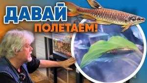 Аквариумные истории из ЭКЗОМЕНЮ (23.01.2026). Давай полетаем!