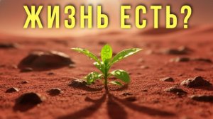 Мы нашли ЖИЗНЬ на Марсе? Новые данные.