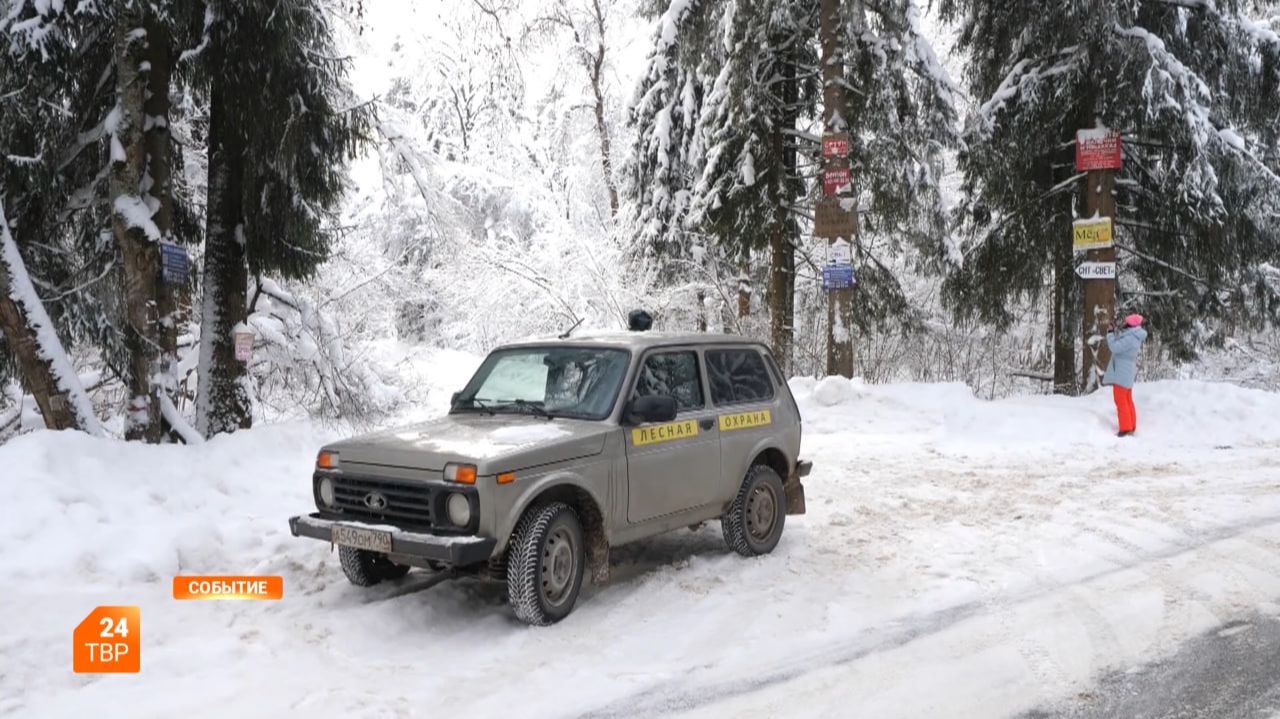 Рекламу на деревьях демонтируют смотреть онлайн