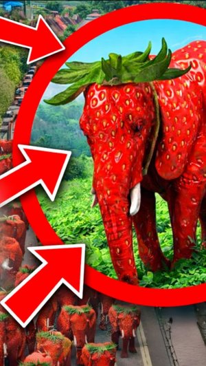 Клубничный слон