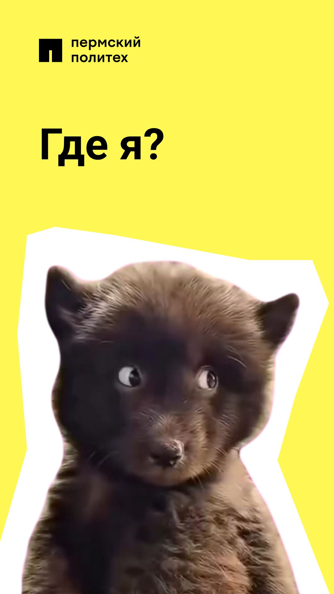 Я же знал, где эта аудитория! смотреть онлайн