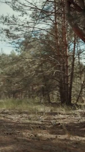 Как сложно организовать игру