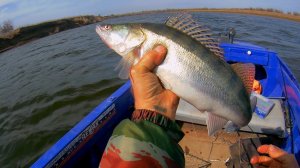 ВЕСЕННИЙ ТРОЛЛИНГ ПО ГЛУБИНАМ 3-4 МЕТРА