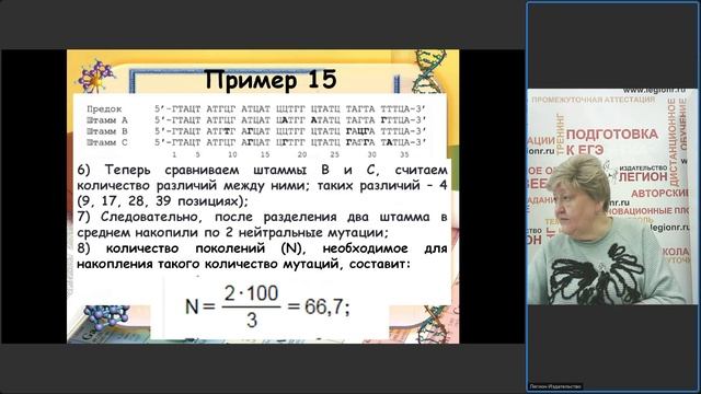 Раздел "Молекулярная биология": трудные задания ЕГЭ по биологии 2026 года. Часть 2 смотреть онлайн