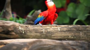 Путешествие. чтоб нас так забрало и не отпускало