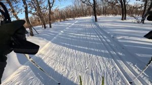 Активные выходные!