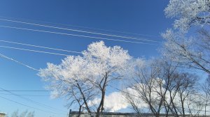 Зимняя мелодия колокольчики