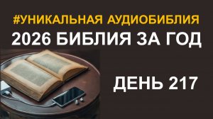 День 217.  Библия за год.  Библейский ультрамарафон портала «Иисус» 2026
