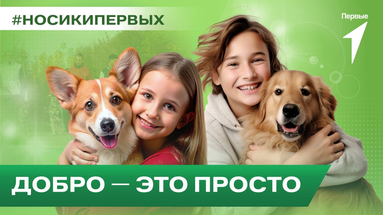 Юннаты Первых в приюте для животных «Красная сосна» смотреть онлайн