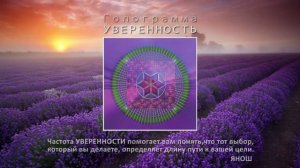 Волшебные Поля