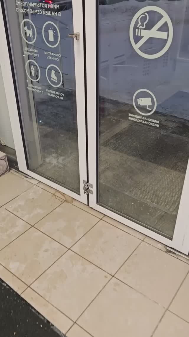 🤣✨ магичные штучки #юмор крысиное волшебство #шуткаюмора #волшебство #смешноевидео #shorts