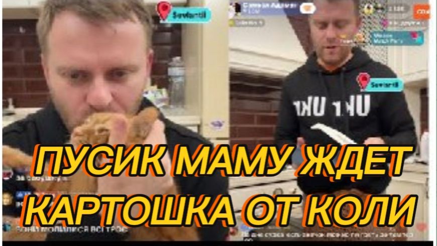 САМВЕЛ АДАМЯН, ПУСИК МАМУ ЖДЕТ, СОБИРАЕМ ОБЕД В БОЛЬНИЦУ, КАРТОШКА ОТ КОЛИ.. смотреть онлайн