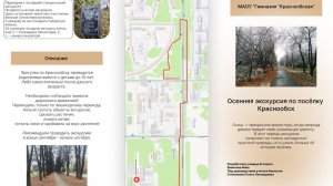 Направления детского туризма МАОУ «Гимназия «Краснообская»