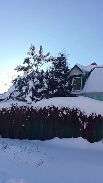 Не тут ли жили три медведя и Маша?.. Хорошо как в лесу! И вам понравилось? смотреть онлайн