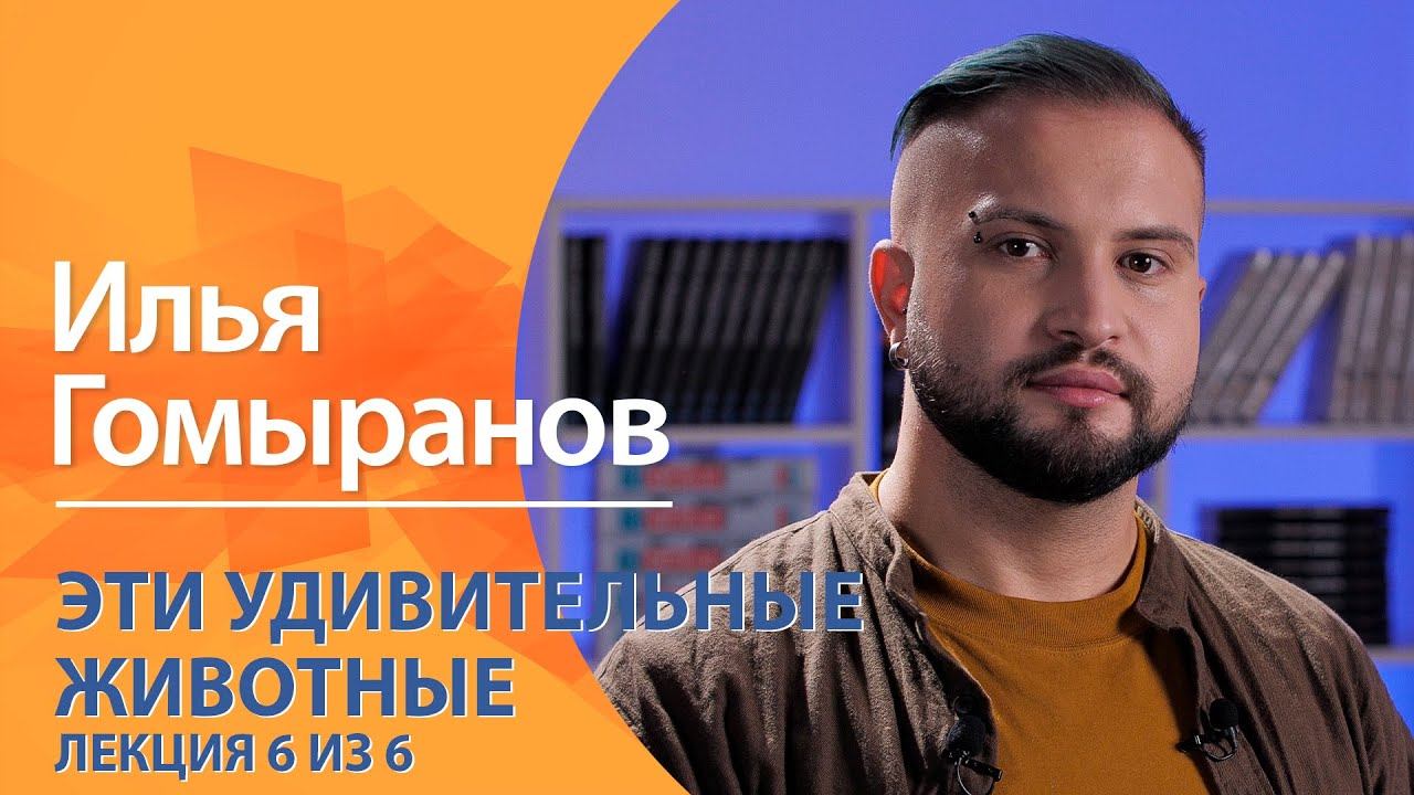 ″Научный экспресс″ с Ильей Гомырановым. ″Эти удивительные животные″