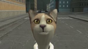 skibidi cat 3 remake