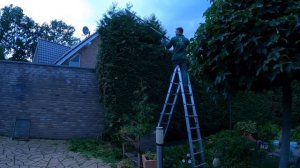 Не ОЧЕНЬ БОЛЬШАЯ! Он сказал, что изгородь из туи ВСЕГО 10 метров