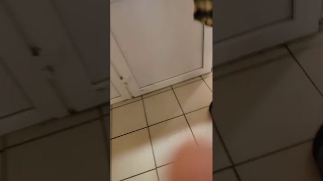 оо смотреть онлайн