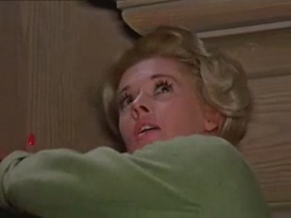 The attack birds on the glamorous lady with long nails