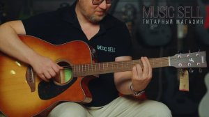 YAMAHA FGX800C-SDB - Архиповский - Золушка - MUSIC SELL