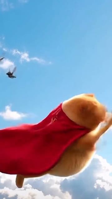 С котом шутри плохи