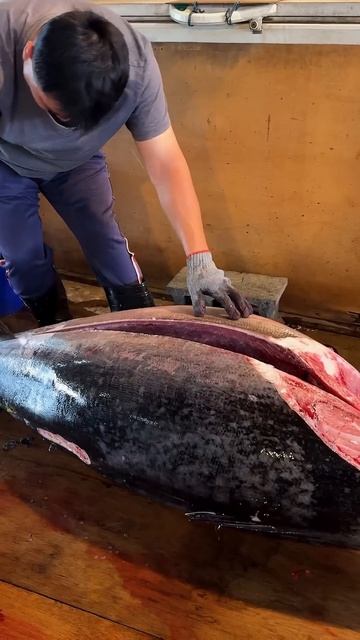 300 кг нарезки голубого тунца смотреть онлайн