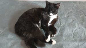 Хорошо в деревне даже зимой//Погода испортилась//На ужин сырники.