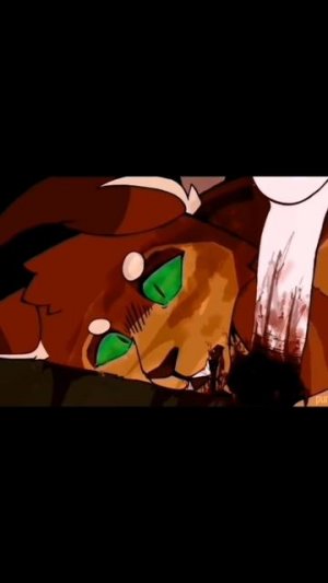 Коршун //Коты воители //клип «Чары»//не оригинал, говорю сразу