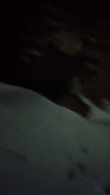 1000010019.mp4 смотреть онлайн