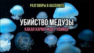 УБИЙСТВО МЕДУЗЫ. КАКАЯ КАРМА ЖДЕТ УБИЙЦУ