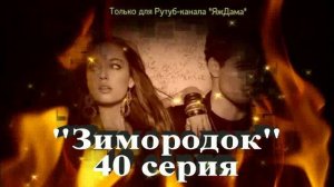 Впечатления от 40 серии турецкого сериала "Зимородок"