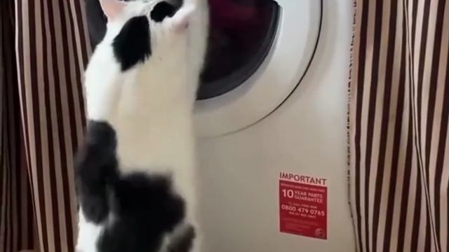 Постираем - постираем! 😆 смотреть онлайн