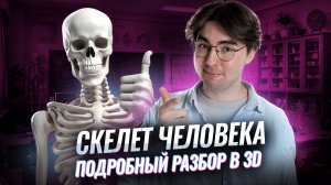 Скелет человека: разбор в 3D | Биология ОГЭ | Никита Павлов | Умскул