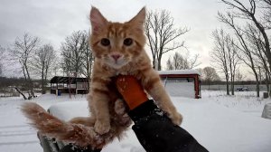 Поехал и обломался ! Как лебёдку буду крепить ?!ХУТОР В ЛЕСУ №942