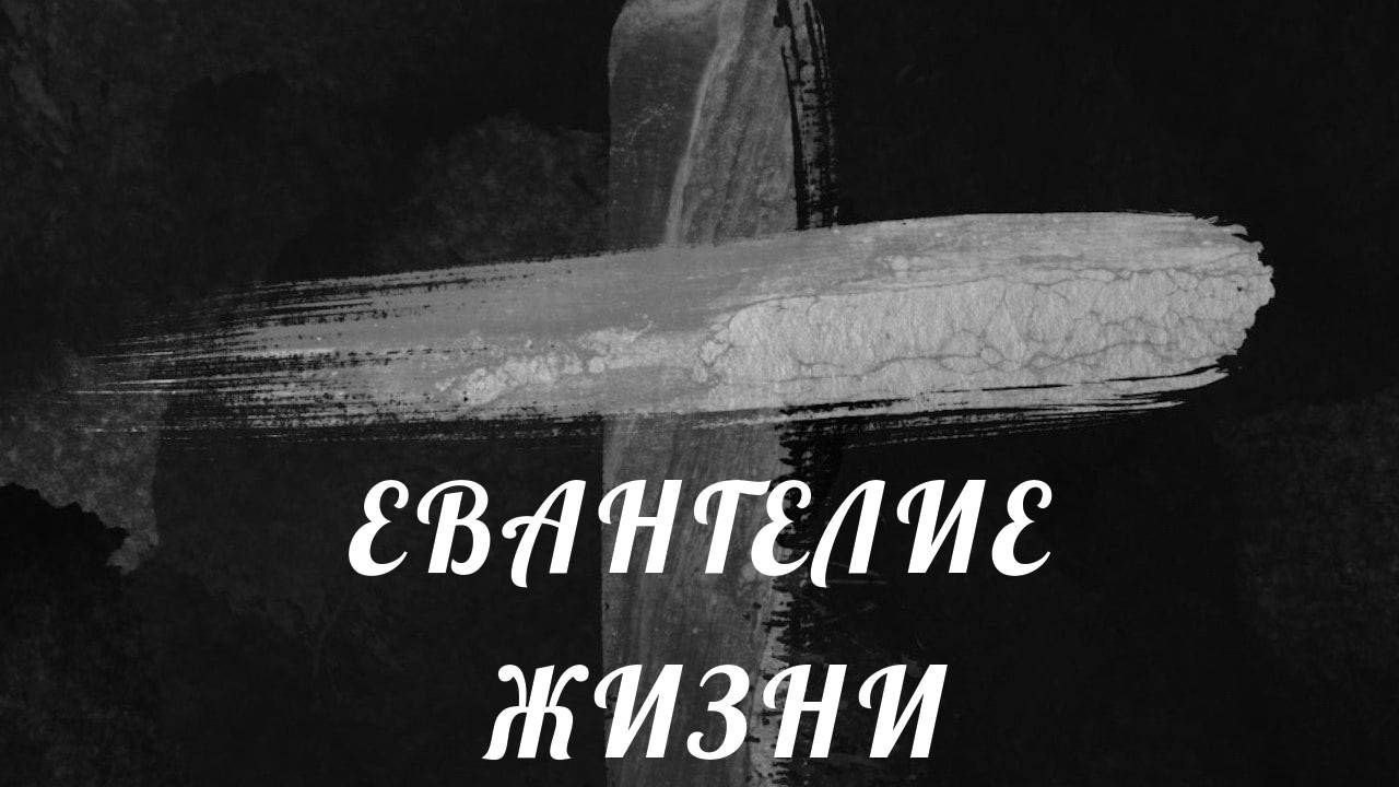 Евангелие жизни, ТС 116