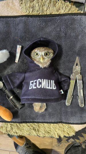 Новый уровень злой маленькой совермы! Это не ИИ! 🤣