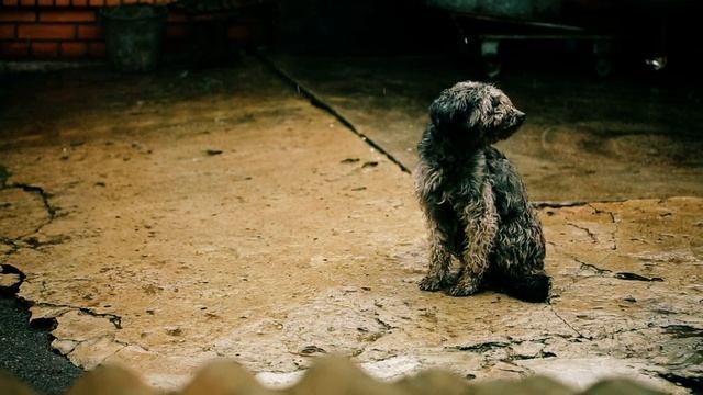 Печаль дождя-ЛЕОН (Лучшее) смотреть онлайн