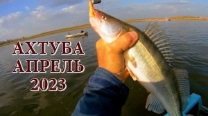 ВЕСЕННИЙ СЕЗОН 2023 В РАЗГАРЕ