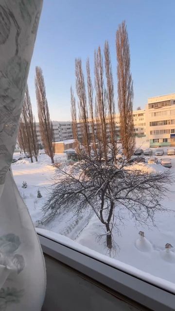 10873193 смотреть онлайн