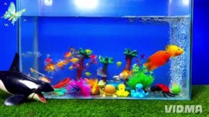 Рыбки в аквариуме