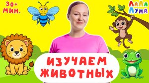 Сборник | Песенки для детей | Животные | Развивающие Детские Песенки #детям