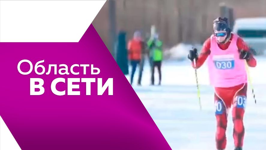 Область в сети №333 смотреть онлайн