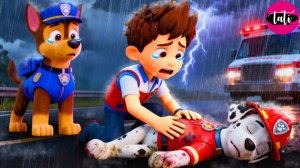 Щенячий патруль и Маршалл. Залипательное видео. Мультфильм для детей и малышей. Анимация 116