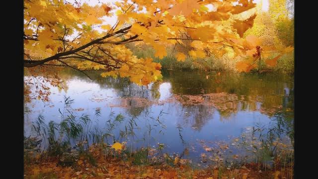 Там, где клён шумит (cover) смотреть онлайн