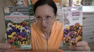 Конец января 2026 года. Сею виолу, которую люблю с детства...