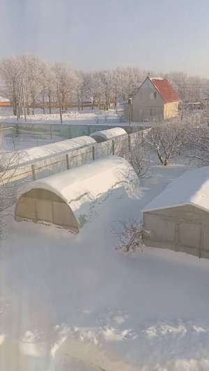 Утро. Мороз и красота.